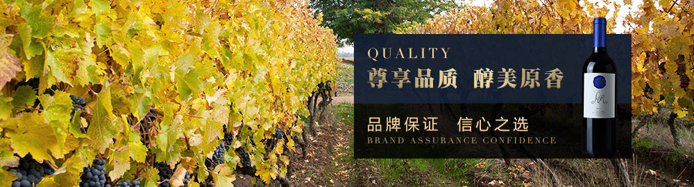 進(jìn)口紅酒